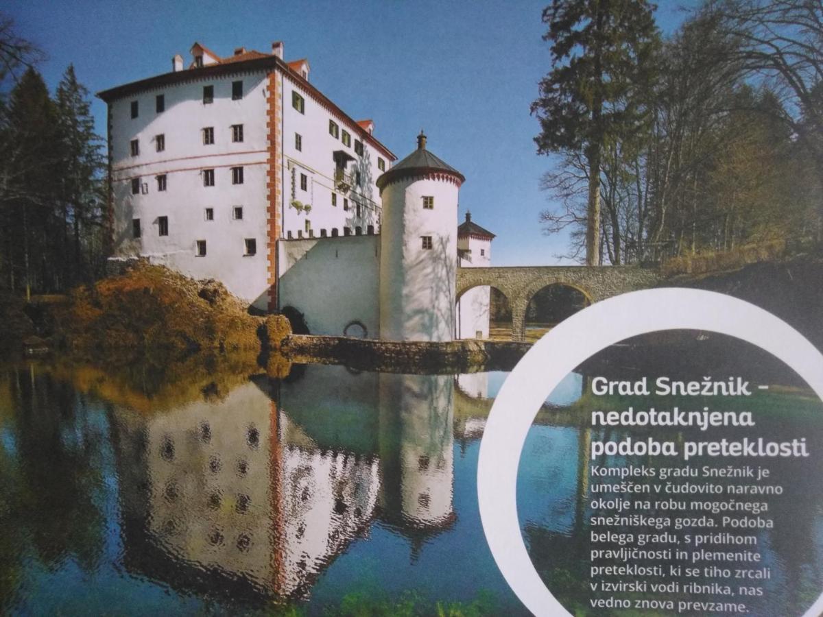 Prenocisca Miklavcic Hotel Nova Vas  Exterior foto